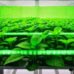Agricultural Technology In (modern:1.34) Laboratory With Large Number