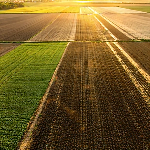 Nature Stock Photography: Aerial View Of Agricultural Fields With Large, Lush