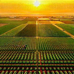 Agricultural Technology In Research Center With Large Field