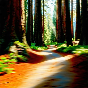 Nature Hdr Photography: Path Through Redwood (forest:1.33) With Forest Path