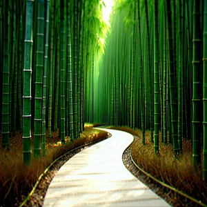 Nature Tilt-shift Photography: Path Through Bamboo Grove With Pathway Surrounded