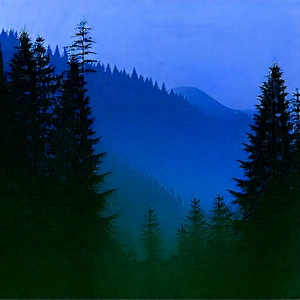 Nature Lithograph: Forest Scene During Blue Hour With Painting Forest