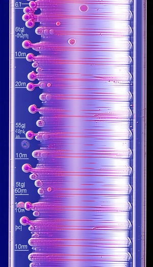 A Blue Measuring Device With A Purple Line Running Through It
