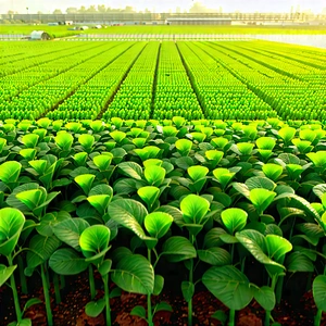 Agricultural Technology In Research Center With Large, Lush