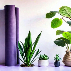 Lifestyle Stock Photography: Wellness scene with yoga mat and plants