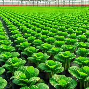 Agricultural Technology In Manufacturing Facility With Large Green