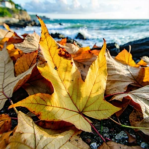 Nature Editorial Photography: Autumn Leaves In Coastal Environment With Beautiful Beach
