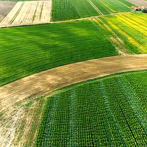 Nature Technical Illustration: Aerial view of agricultural fields