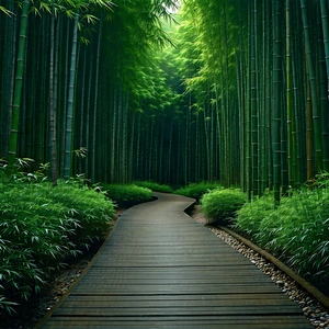 Nature Matte Painting: Path Through Bamboo Grove With Serene Forest