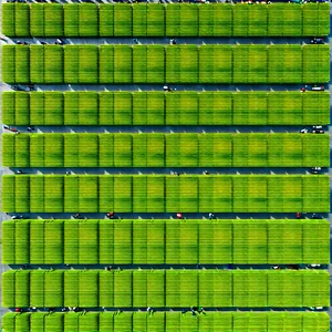 Urban Aerial Photography: Urban farmers market scene