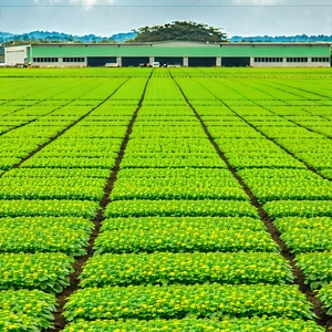 Tech Hdr Photography: Agricultural Technology In Manufacturing Facility With Large, Lush