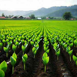 Agricultural Technology In Field Deployment With Large Field