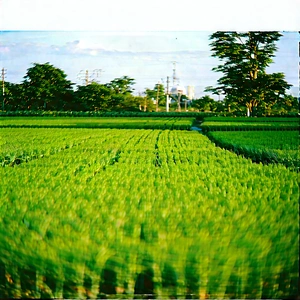 Agricultural Technology In Design Studio With Large