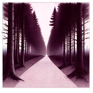 Nature Pencil Sketch: Path through pine forest