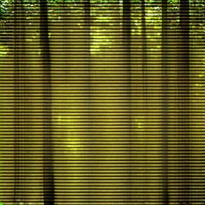 Nature Tilt-Shift Photography: Aerial view of (forest:1.18) canopy