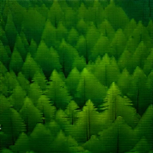 Nature Blueprint Style: Aerial view of forest canopy