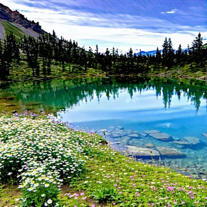 Nature Hdr Photography: Crystal Clear (lake:1.38) Surrounded By Wildflowers With Serene Lake