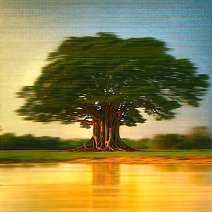 Nature Architectural Photography: Ancient tree in summer