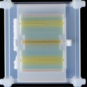 A Clear Plastic Container Holds A Yellow, Blue, And Red Striped Object
