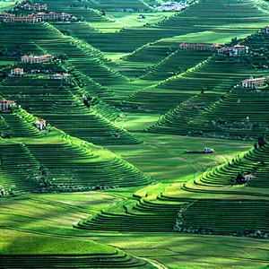 Tech Tilt-Shift Photography: Machine learning visualization