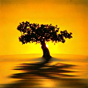 Nature Hdr Photography: (ancient:1.18) Tree In Sunlit Clearing With Lone Tree