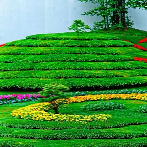 Lifestyle Commercial Photography: Spring Gardening During Festival Time With Beautiful Garden