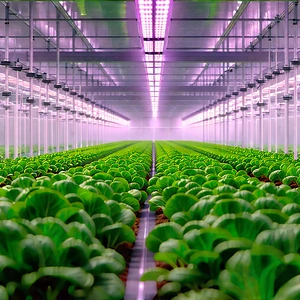 Agricultural Technology In Research Center With Image, There