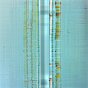 A Blue And Yellow Striped Object Is Shown In The Image