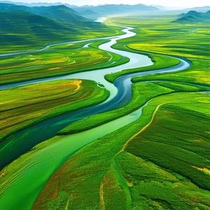 Nature Etching: Aerial view of winding river