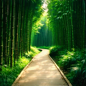Nature Advertising Photography: Path Through Bamboo Grove With Pathway Surrounded