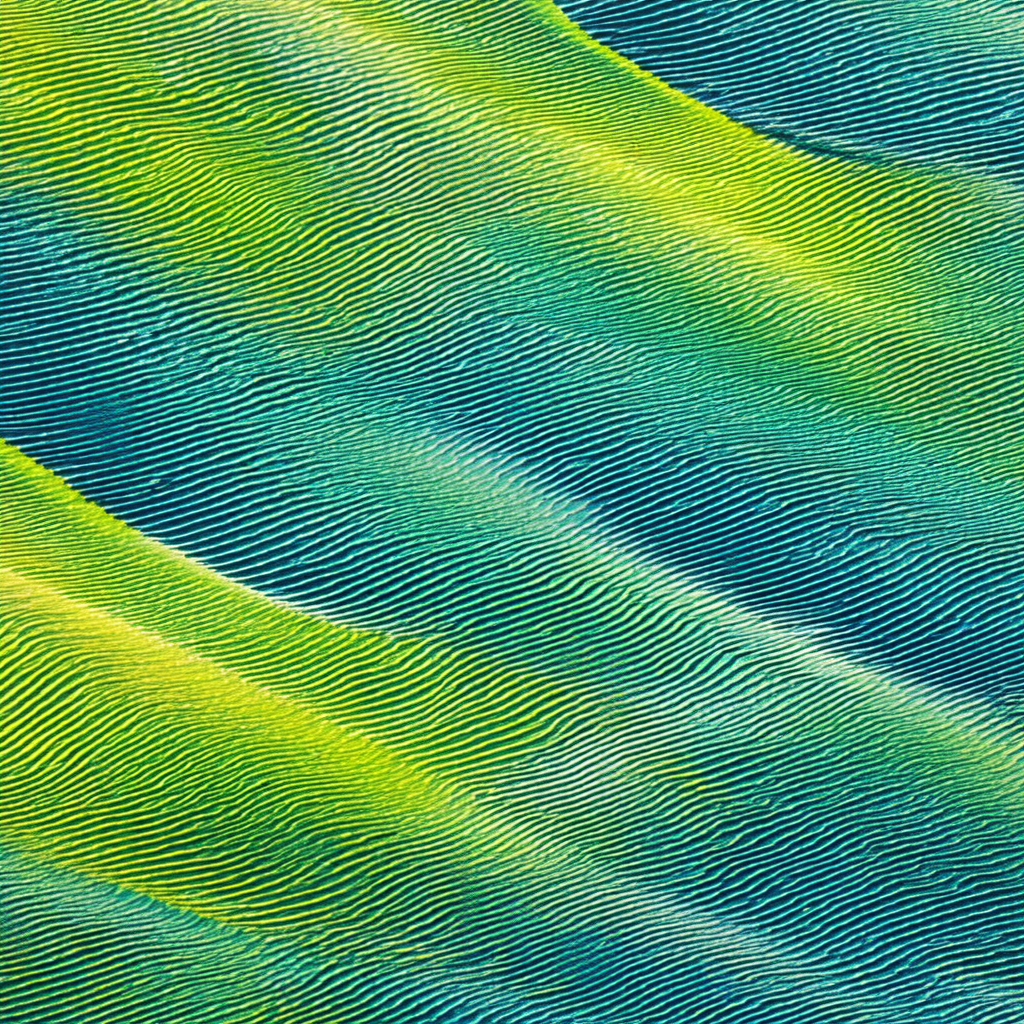 Large, vibrant green wave with a blue hue