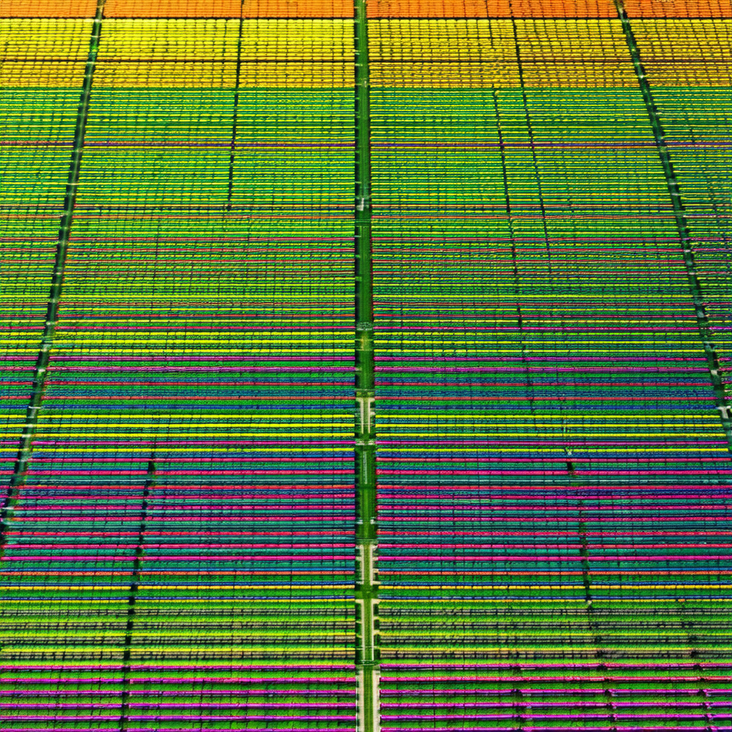 Large, colorful grid pattern, likely a painting or a design