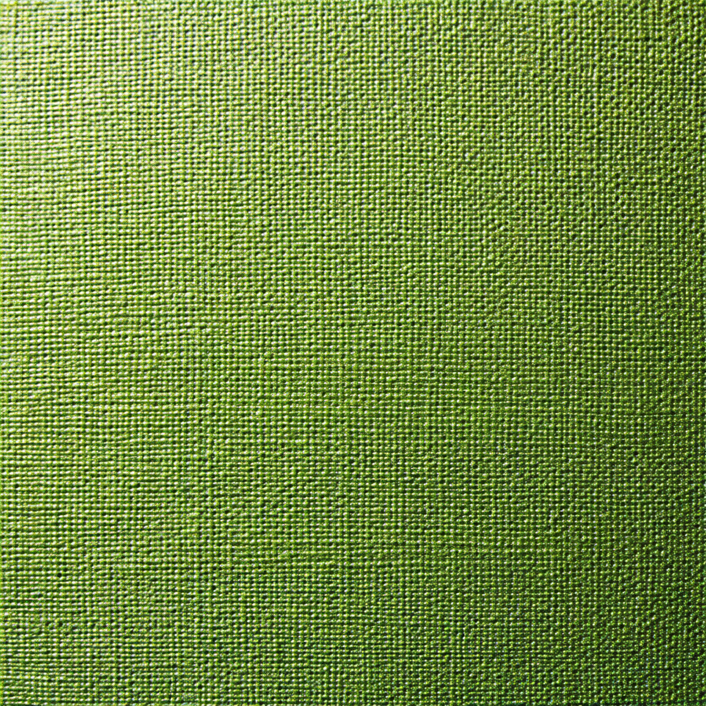 Large green wall with a patterned texture