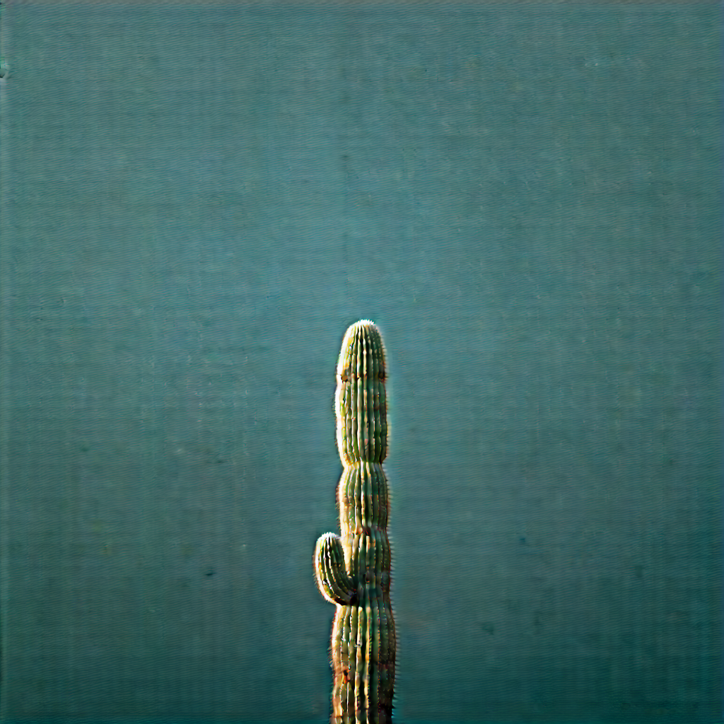 Nature Drone Photography: Cactus In Rocky Terrain With Cactus Standing
