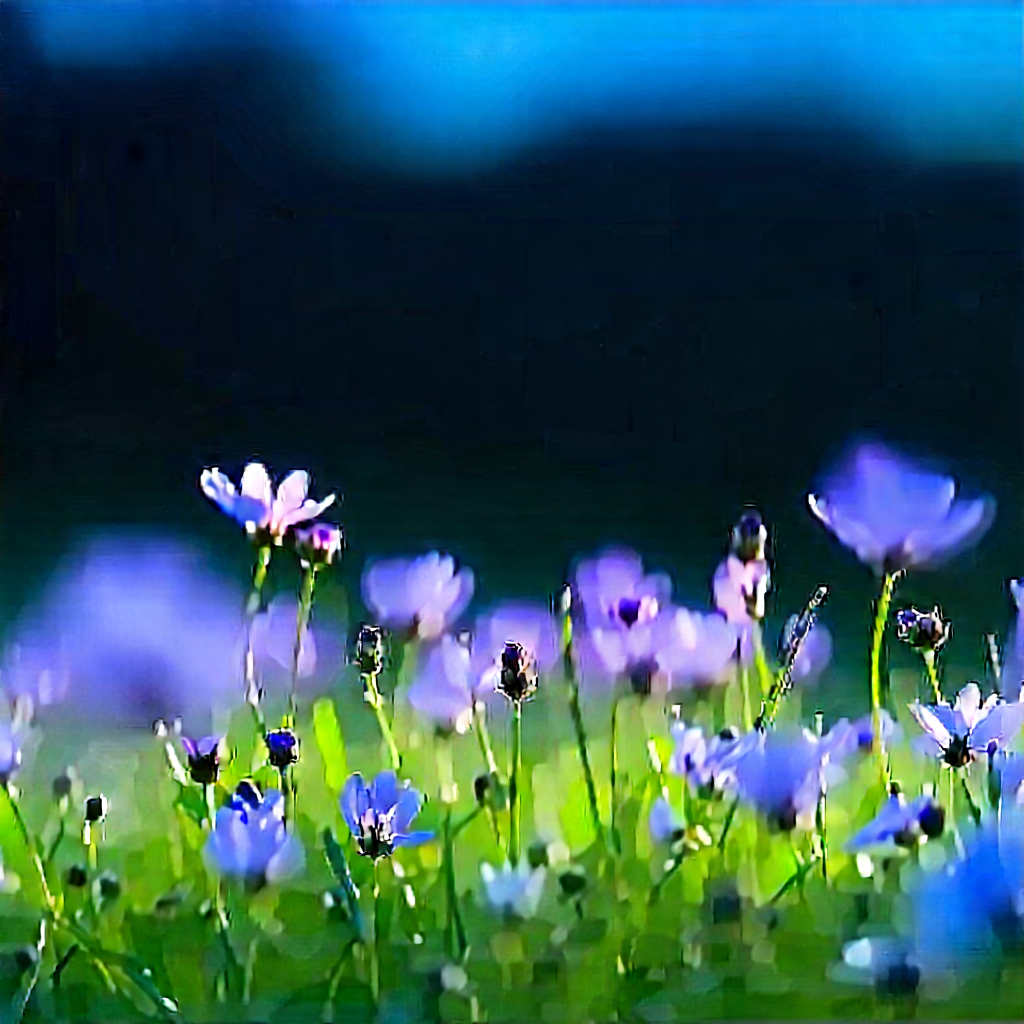 Nature Macro Photography: Meadow During Blue Hour With Beautiful Field
