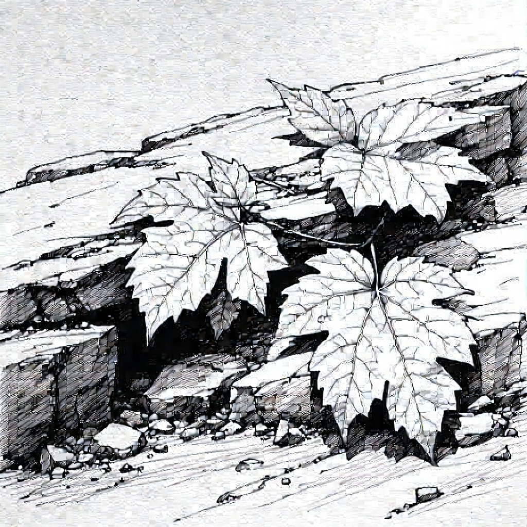 Nature Pencil Sketch: Autumn Leaves In Rocky Terrain With Leaf Seen
