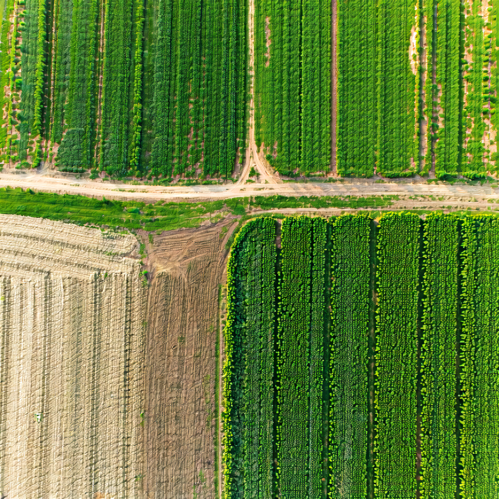 Nature Macro Photography: Aerial view of agricultural fields