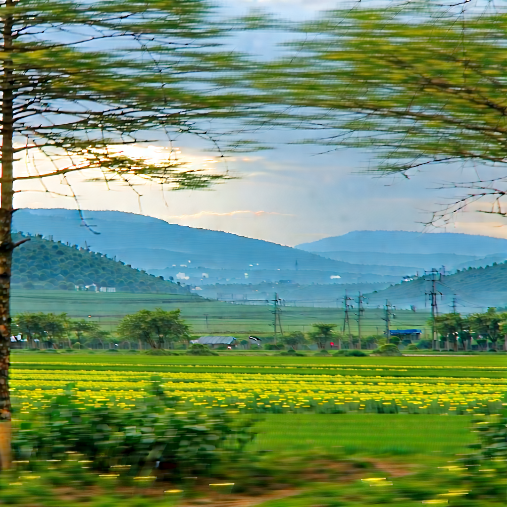 Digital Transformation Visualization With Large Field
