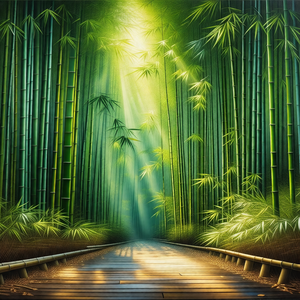 Pathway surrounded by a lush green forest