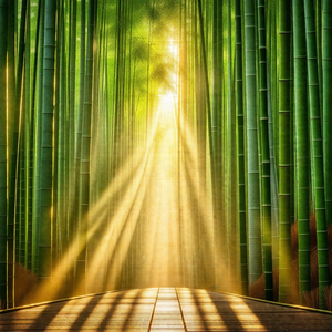 Pathway surrounded by a forest of bamboo trees
