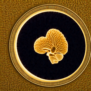 Gold coin with a unique design
