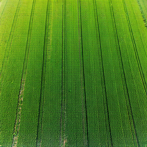 Tech Aerial Photography: Agricultural technology in tech office