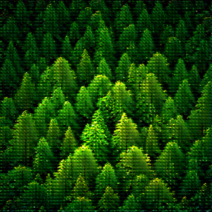 Nature Stock Photography: Aerial view of forest canopy