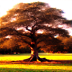 Nature Drone Photography: Ancient (tree:1.44) in sunlit clearing