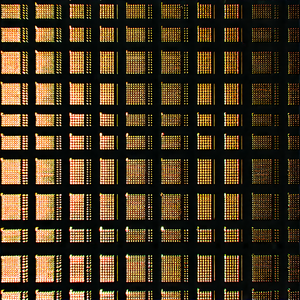 Tech Etching: Close-up of sensor array