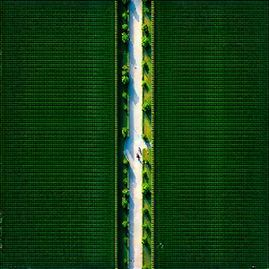 Urban Voxel Art: Aerial view of central park