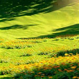 Nature Drone Photography: Wildflowers In Sunlit Clearing With Field Yellow