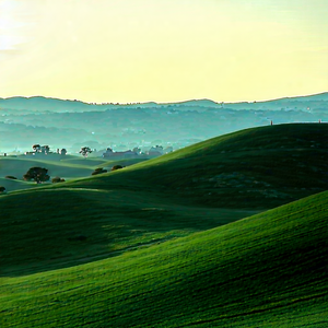 Nature Professional Photography: Rolling Hills During Golden Hour With Lush Green