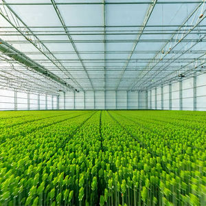 Tech Professional Photography: Agricultural technology in research center