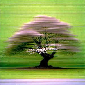 Nature Long Exposure Photography: Ancient (tree:1.44) In Spring Bloom With Tree White